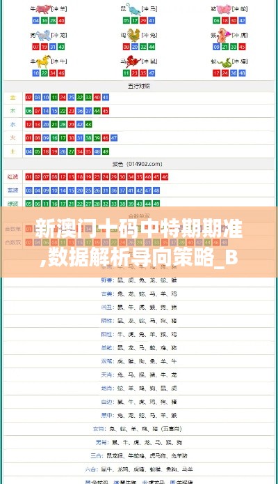 新澳門十碼中特期期準,數據解析導向策略_BT13.540