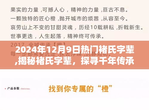 揭秘熱門褚氏字輩，千年傳承一覽，2024年12月9日熱門榜單揭曉