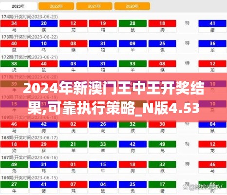 2024年新澳門王中王開獎結果,可靠執行策略_N版4.534