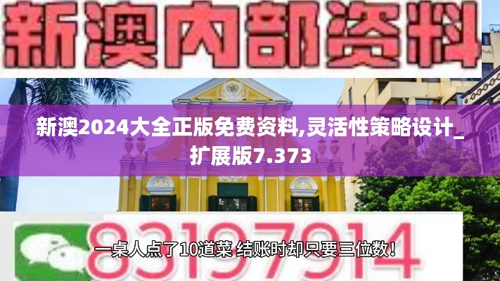 新澳2024大全正版免費資料,靈活性策略設(shè)計_擴(kuò)展版7.373