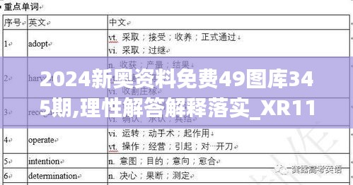 2024新奧資料免費49圖庫345期,理性解答解釋落實_XR110.267