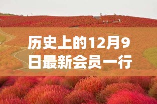 探尋自然美景之旅，12月9日啟程，尋找內心的桃花源新會員專享之旅