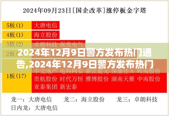 社會治安新形勢下的多元治理策略探析，警方發(fā)布熱門通告解析與行動指南（2024年12月9日）