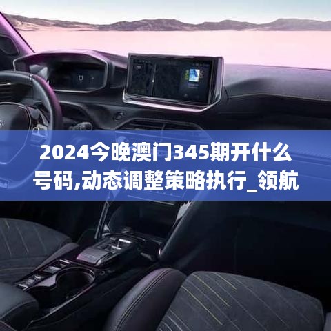 2024今晚澳門345期開什么號碼,動態調整策略執行_領航款6.907