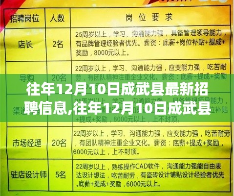 往年12月10日成武縣最新招聘信息深度解析，特性體驗、競爭分析與用戶洞察報告