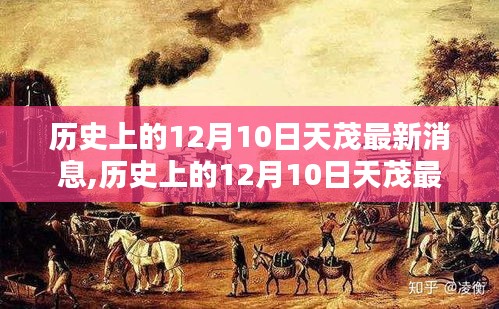 歷史上的12月10日天茂最新消息詳解，步驟指南與最新動態