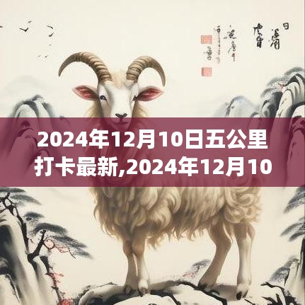 堅(jiān)持的力量與生活的美好交織，2024年12月10日五公里打卡新篇章開啟