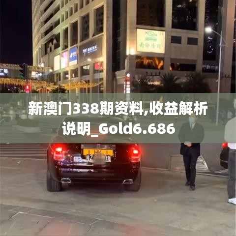 新澳門338期資料,收益解析說明_Gold6.686