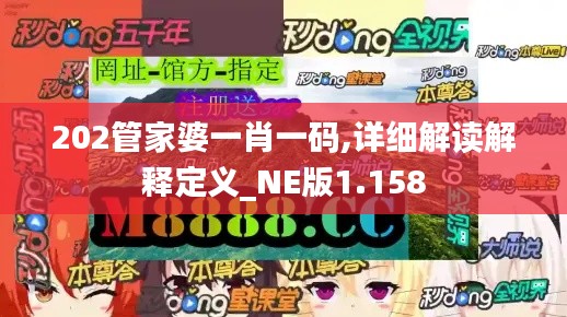 202管家婆一肖一碼,詳細解讀解釋定義_NE版1.158