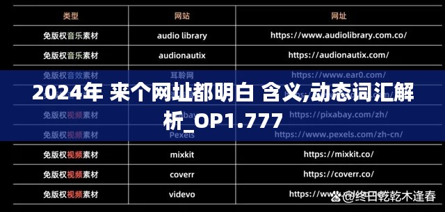 2024年 來個網址都明白 含義,動態詞匯解析_OP1.777