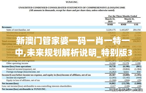 新澳門管家婆一碼一肖一特一中,未來(lái)規(guī)劃解析說(shuō)明_特別版3.749