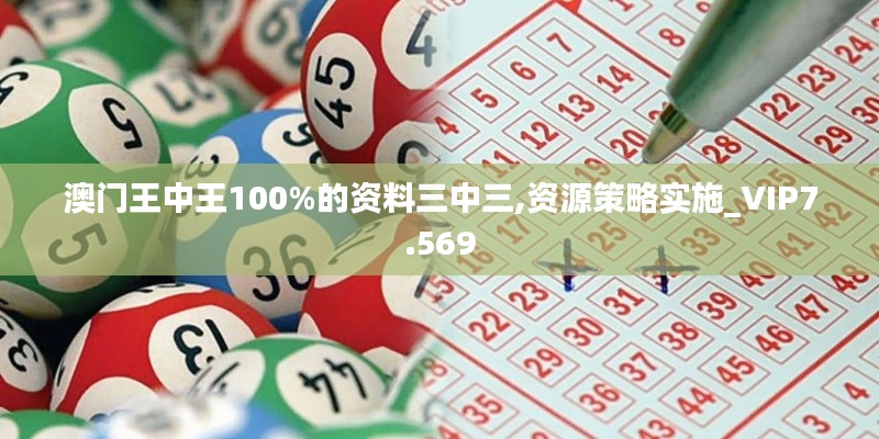 澳門王中王100%的資料三中三,資源策略實施_VIP7.569