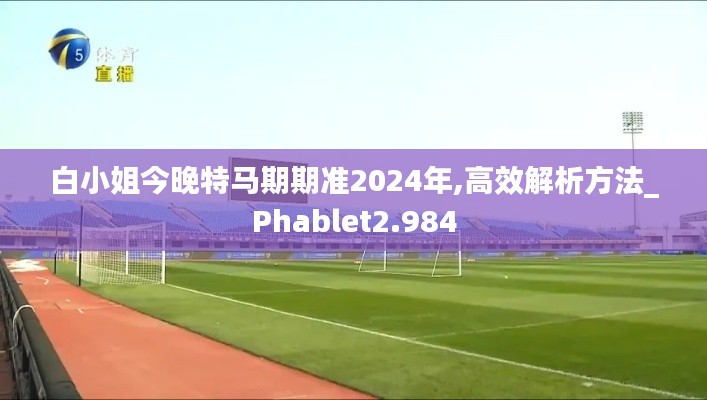 白小姐今晚特馬期期準2024年,高效解析方法_Phablet2.984