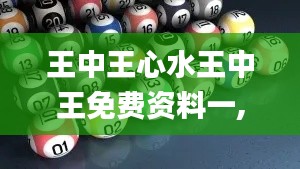 王中王心水王中王免費資料一,定性解析說明_專屬款18.113