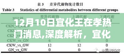 宜化王在孝產(chǎn)品深度解析與評測，產(chǎn)品特性、用戶體驗(yàn)與目標(biāo)用戶群體分析——最新熱門消息速遞