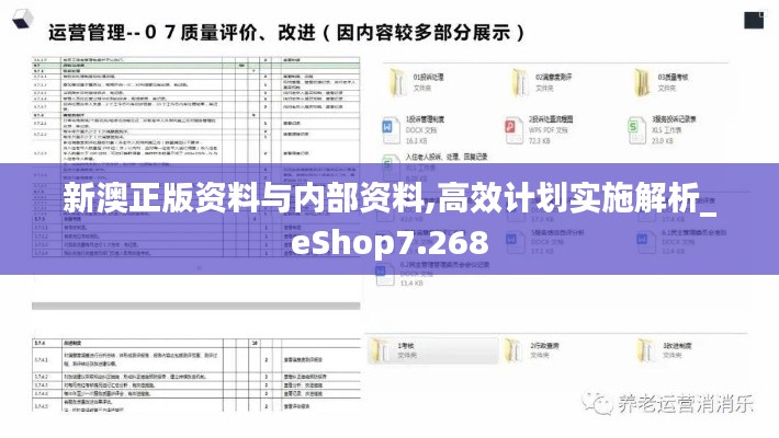 新澳正版資料與內部資料,高效計劃實施解析_eShop7.268