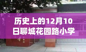 聊城花園路小學，溫馨冬日里的日常趣事與歷史印記