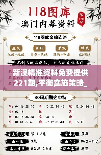 新澳精準資料免費提供221期,平衡實施策略_T9.568