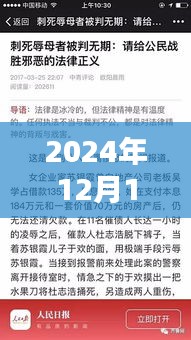 深度解析，山東殺人辱母案全程指南——從背景揭秘到法律維權之路（2024年12月10日熱點關注）