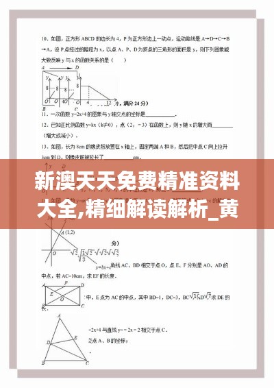 新澳天天免費精準(zhǔn)資料大全,精細(xì)解讀解析_黃金版12.532