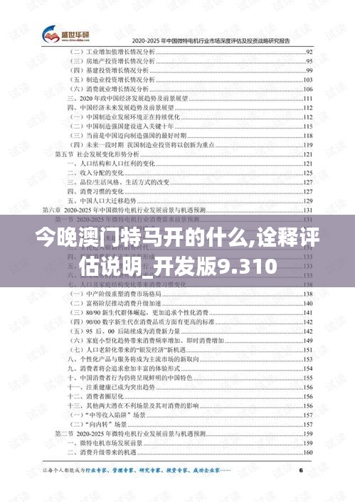 今晚澳門特馬開的什么,詮釋評(píng)估說明_開發(fā)版9.310