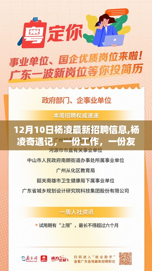 楊凌奇遇記，最新招聘與友情交織的溫馨故事