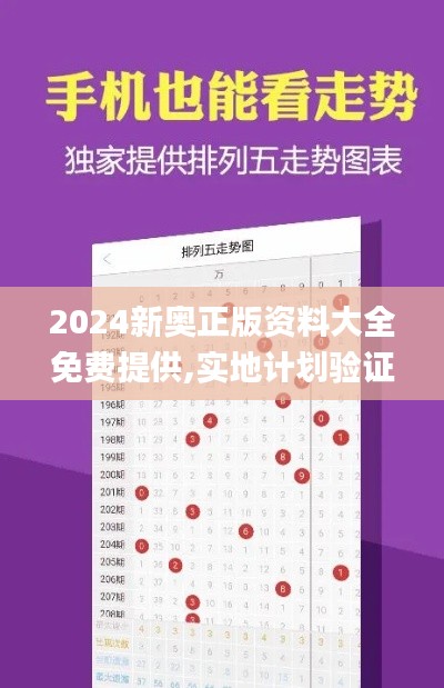 2024新奧正版資料大全免費提供,實地計劃驗證策略_FT9.719