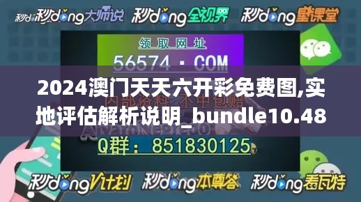 2024澳門天天六開彩免費圖,實地評估解析說明_bundle10.484