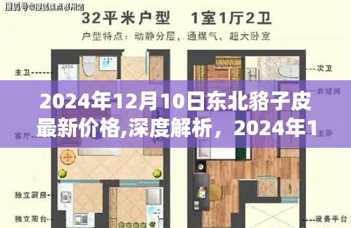 2024年12月10日東北貉子皮最新價格深度解析，價格、特性、用戶體驗與目標用戶群體分析