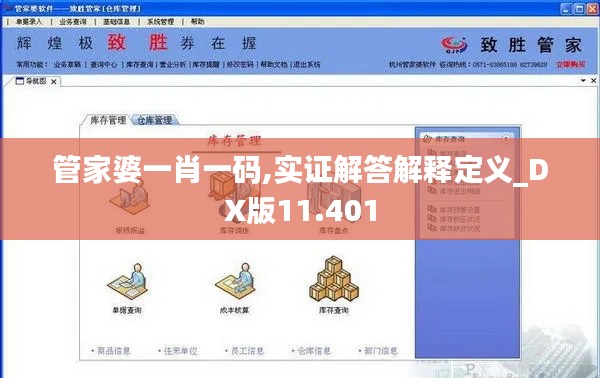 管家婆一肖一碼,實證解答解釋定義_DX版11.401