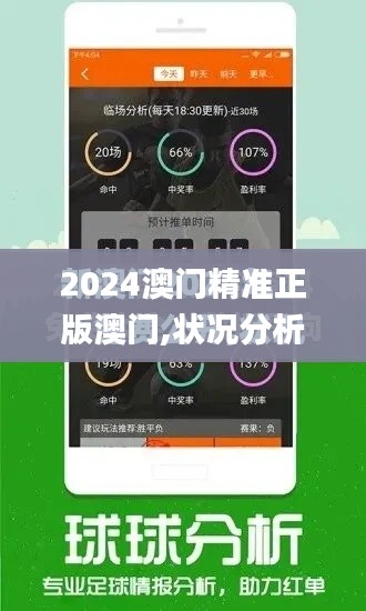 2024澳門精準(zhǔn)正版澳門,狀況分析解析說明_蘋果款4.545