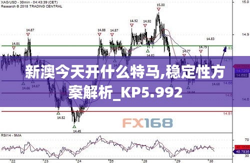 新澳今天開什么特馬,穩(wěn)定性方案解析_KP5.992