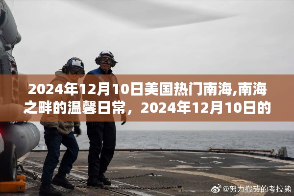 南海之畔的溫馨日常與奇遇，美國熱門南海的2024年12月10日