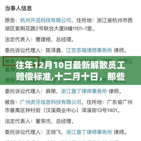 暖心故事與最新解散員工賠償標準解讀，十二月十日回顧與前瞻