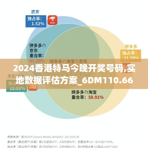 2024香港特馬今晚開獎號碼,實地數據評估方案_6DM110.666