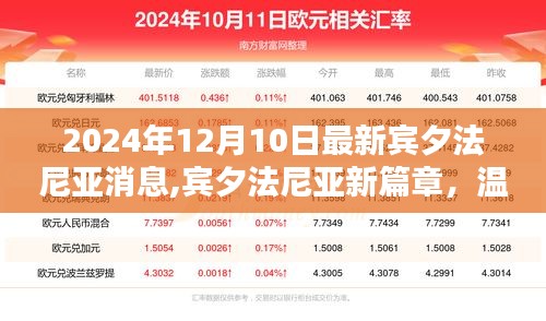 賓夕法尼亞新篇章，溫馨日常與友誼的熠熠閃光（2024年12月10日最新消息）