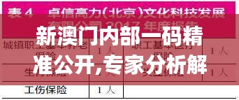 新澳門內(nèi)部一碼精準(zhǔn)公開,專家分析解釋定義_投資版8.446