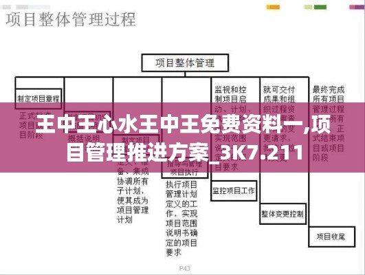 王中王心水王中王免費資料一,項目管理推進方案_3K7.211