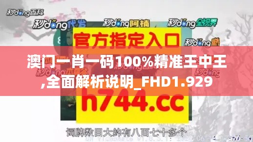 澳門一肖一碼100%精準王中王,全面解析說明_FHD1.929