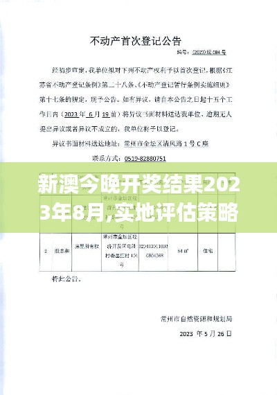 新澳今晚開獎結果2023年8月,實地評估策略_PalmOS1.584