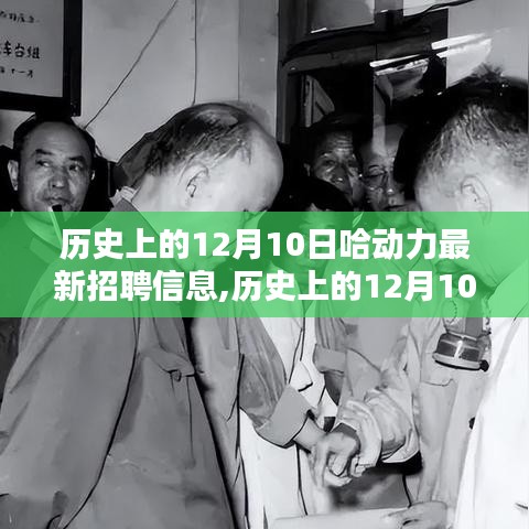 歷史上的12月10日哈動力最新招聘信息揭秘與深度解析