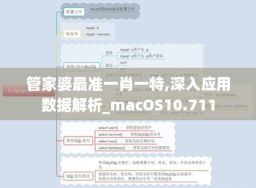 管家婆最準一肖一特,深入應用數據解析_macOS10.711