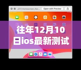 往年12月10日iOS最新測(cè)試版及其安裝使用指南（適合初學(xué)者與進(jìn)階用戶）