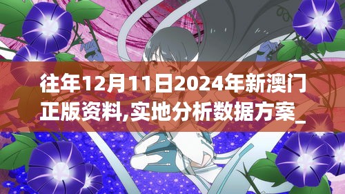 往年12月11日2024年新澳門正版資料,實地分析數據方案_桌面版3.712