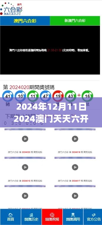 2024年12月11日2024澳門天天六開獎怎么玩,動態評估說明_3D5.231