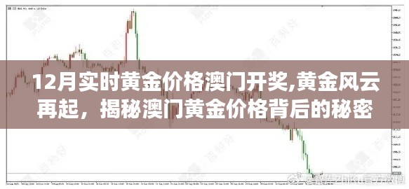 揭秘黃金風云背后的秘密，澳門黃金價格的犯罪真相與犯罪問題探討