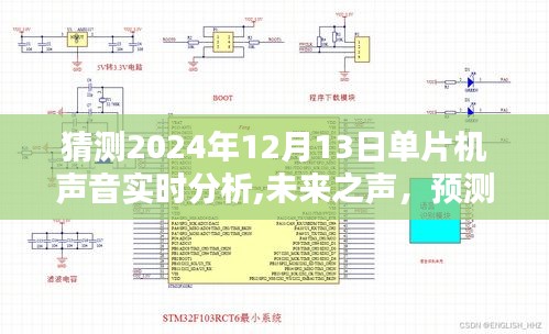 2024年單片機(jī)聲音實時分析技術(shù)革新與前景展望