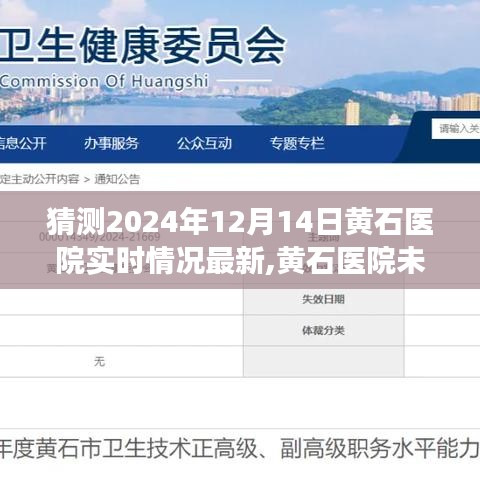 黃石醫院未來展望與實時情況深度分析，觀點論述與最新預測報告（2024年12月14日）