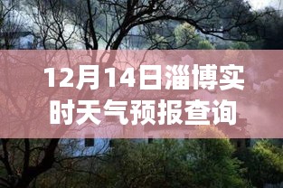 淄博探秘，小巷深處的天氣驛站——實時天氣預報查詢之旅（12月14日）