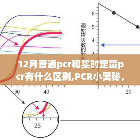 普通PCR與實時定量PCR的奇妙差異，揭秘PCR小奧秘的旅程